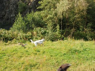 2009-09-20_ntb_8350