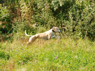 2009-09-20_ntb_8351