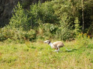 2009-09-20_ntb_8352