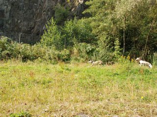 2009-09-20_ntb_8353