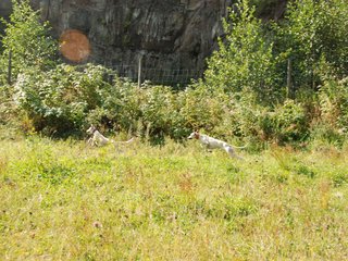 2009-09-20_ntb_8354