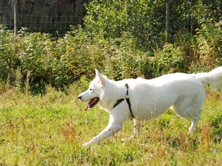2009-09-20_ntb_8356