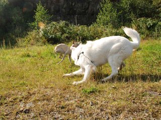 2009-09-20_ntb_8357