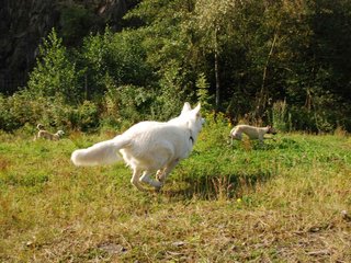 2009-09-20_ntb_8358