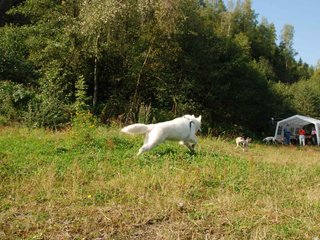 2009-09-20_ntb_8359