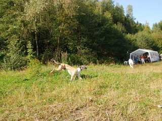 2009-09-20_ntb_8360