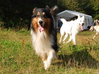 2009-09-20_ntb_8361