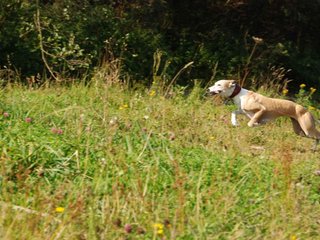 2009-09-20_ntb_8362