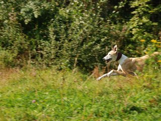 2009-09-20_ntb_8363
