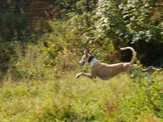 2009-09-20_ntb_8364