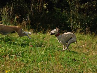 2009-09-20_ntb_8367