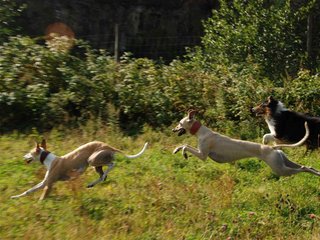 2009-09-20_ntb_8368
