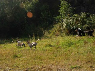2009-09-20_ntb_8369