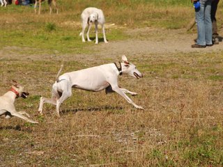 2009-09-20_ntb_8370