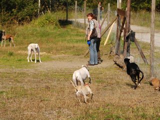 2009-09-20_ntb_8371