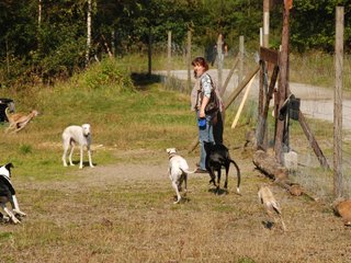 2009-09-20_ntb_8372
