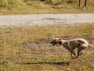 2009-09-20_ntb_8373