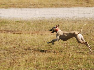 2009-09-20_ntb_8374