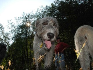 2009-09-20_ntb_8377