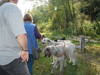 2009-09-20_ntb_8379