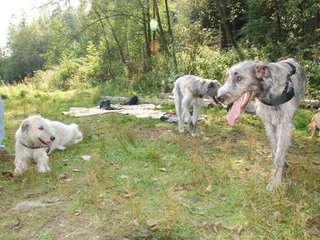 2009-09-20_ntb_8381