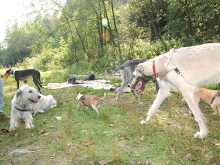 2009-09-20_ntb_8382