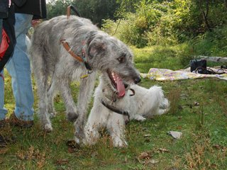 2009-09-20_ntb_8383