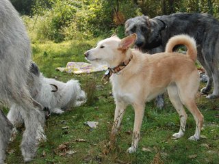 2009-09-20_ntb_8384