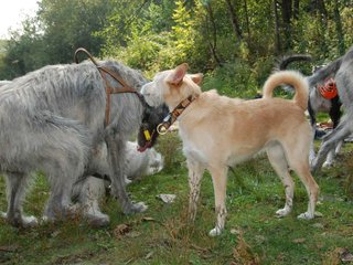 2009-09-20_ntb_8385