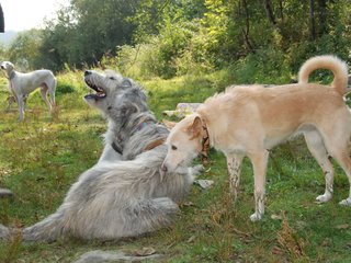 2009-09-20_ntb_8386