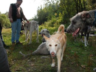 2009-09-20_ntb_8387