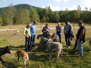2009-09-20_ntb_8388