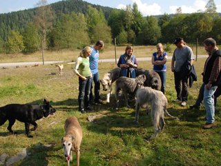 2009-09-20_ntb_8389