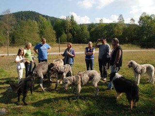 2009-09-20_ntb_8393