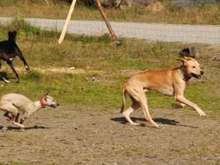 2009-09-20_ntb_8395
