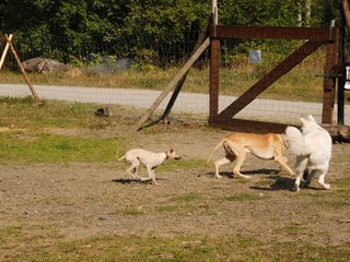 2009-09-20_ntb_8396