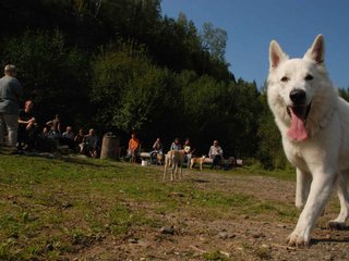 2009-09-20_ntb_8397