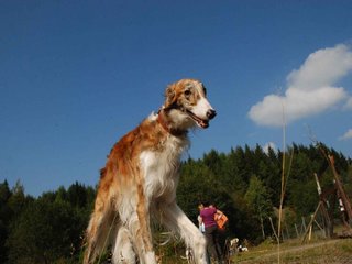2009-09-20_ntb_8398