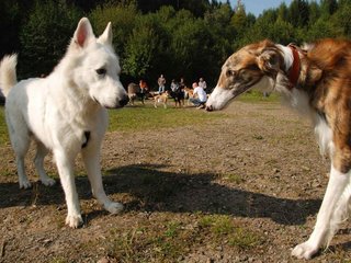 2009-09-20_ntb_8400