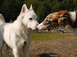 2009-09-20_ntb_8401