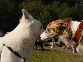 2009-09-20_ntb_8402
