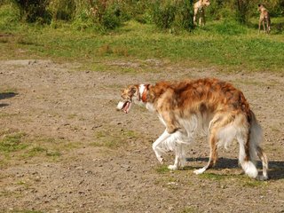 2009-09-20_ntb_8403