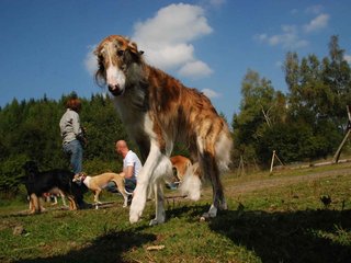2009-09-20_ntb_8404