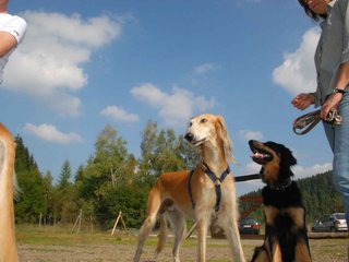 2009-09-20_ntb_8408