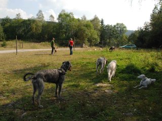 2009-09-20_ntb_8424
