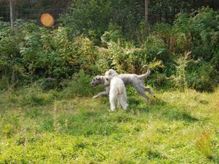 2009-09-20_ntb_8425