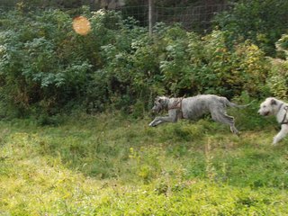 2009-09-20_ntb_8426