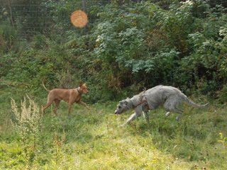 2009-09-20_ntb_8427