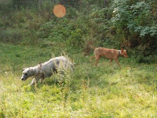 2009-09-20_ntb_8428