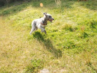 2009-09-20_ntb_8430